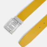 Slater Detachable Belt Citrus Men J.Lindeberg Accessory 66XF846