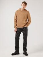 Timon Hoodie Tiger Brown Men J.Lindeberg Clothing 66XF2365 - Image 2