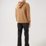 Timon Hoodie Tiger Brown Men J.Lindeberg Clothing 66XF2365